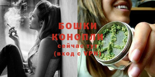 гидра Наволоки
