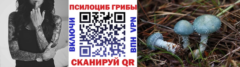 Псилоцибиновые грибы ЛСД  OMG рабочий сайт  Нахабино 