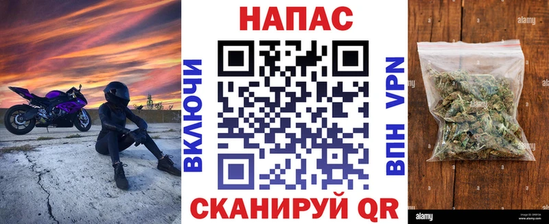 Канабис ГИДРОПОН  Нахабино 